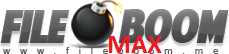 Fileboom MAX 365 Days