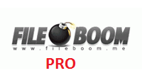 Fileboom PRO 365 Days