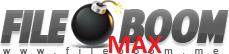 Fileboom MAX 90 Days